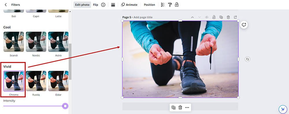 how to change the color of an image in canva - Apply a Filter