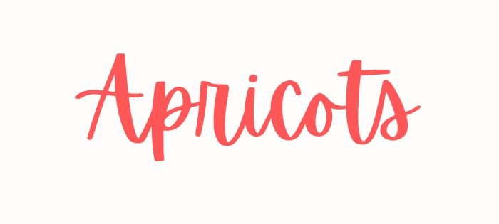 Best handwritten aesthetics fonts on Canva Apricots